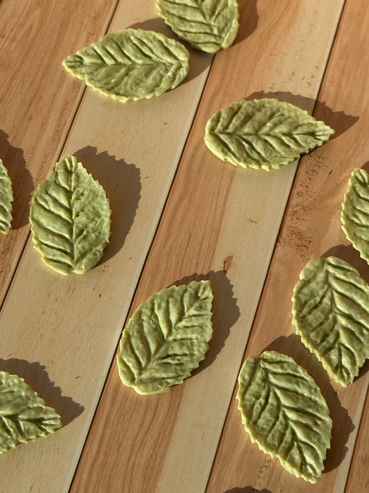 Wild Leaves