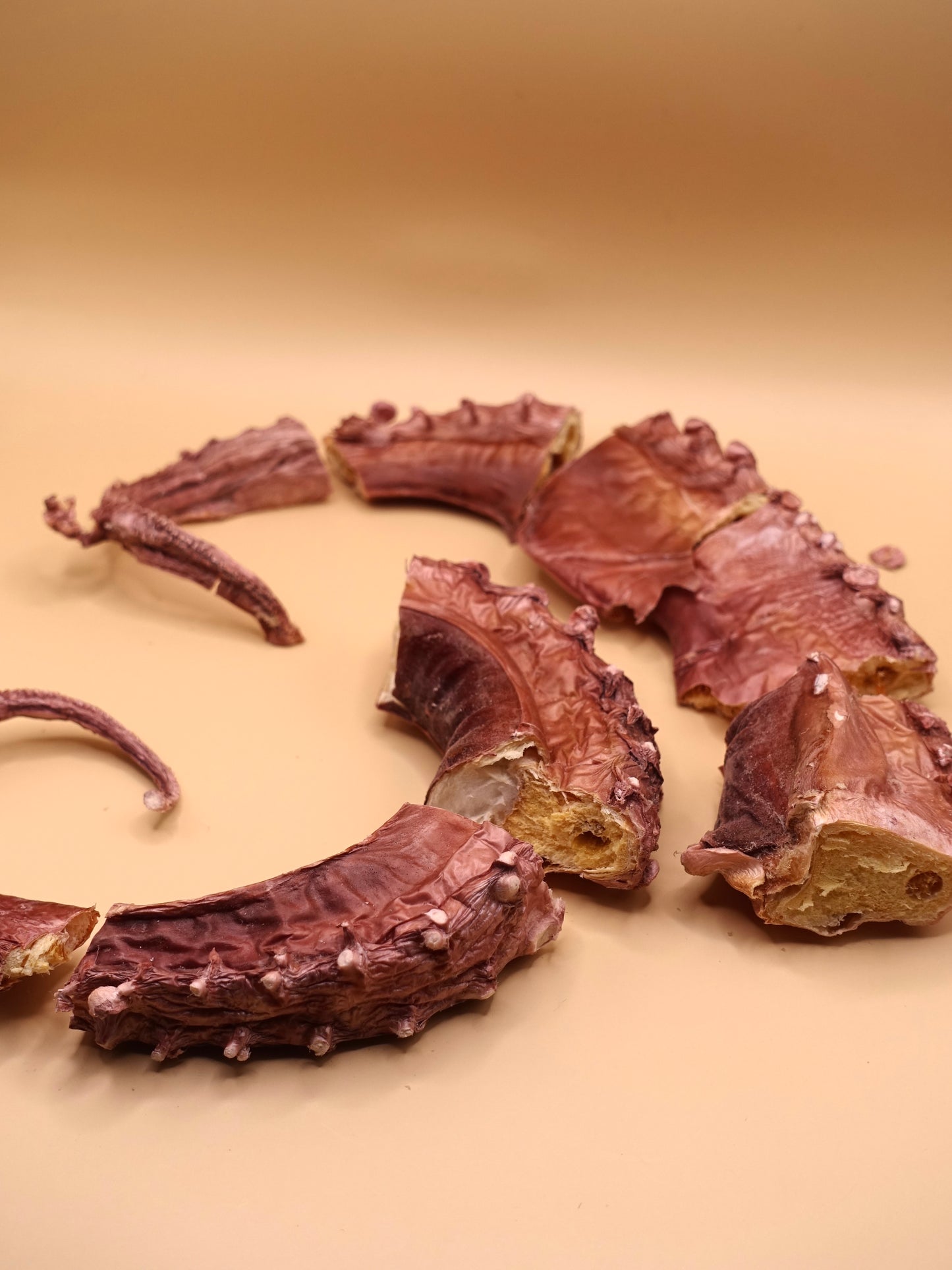 Freeze-Dried Octopus Bites
