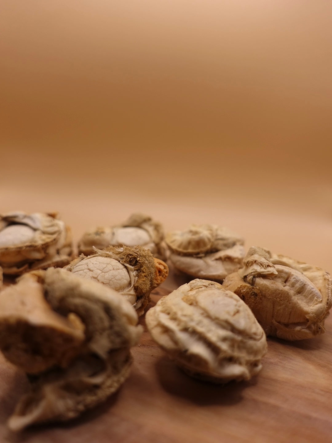 Freeze Dried Scallops