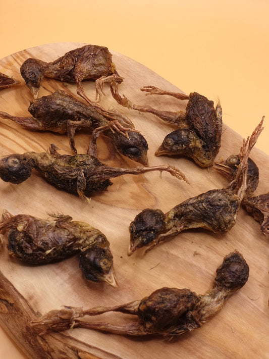 Freeze Dried Whole Quail