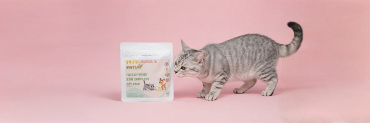 Freeze-dried Raw Complete Cat Food