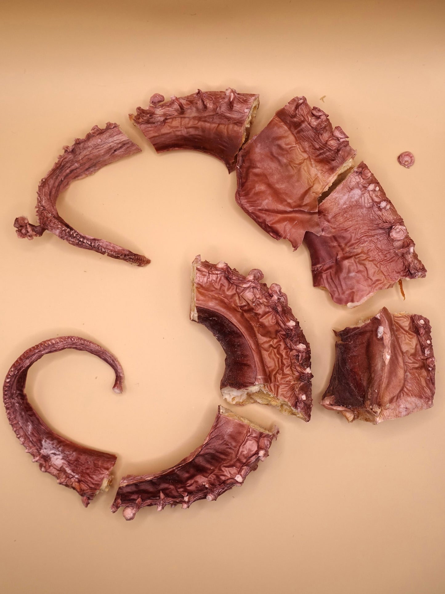 Freeze-Dried Octopus Bites