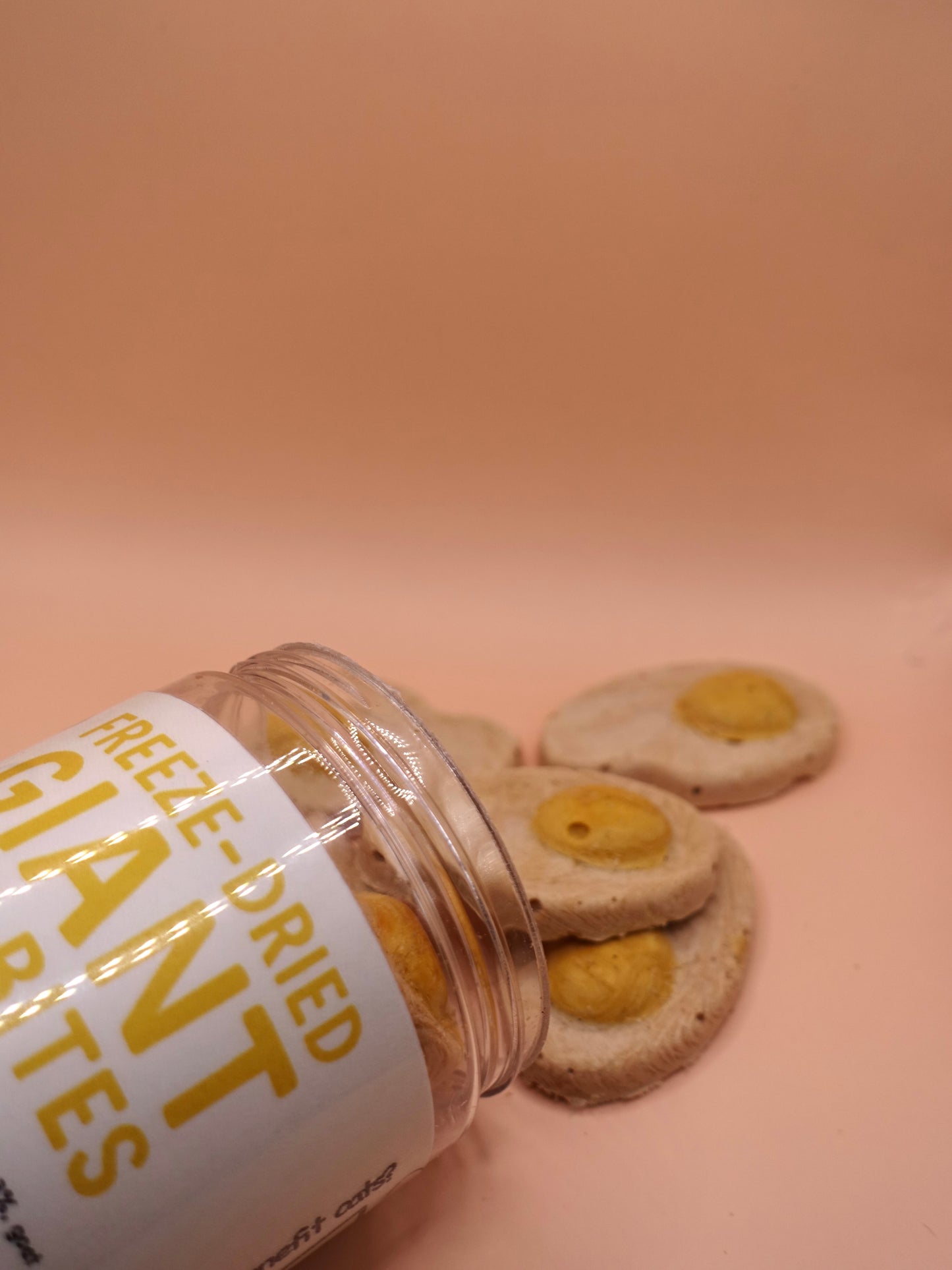 Freeze dried giant egg bites