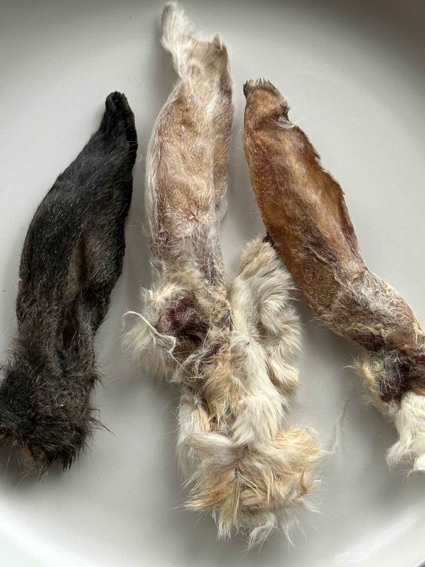 Dried Rabbit Ears