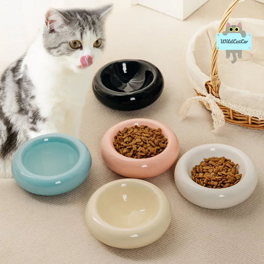 Pawsome Pastel Bowl