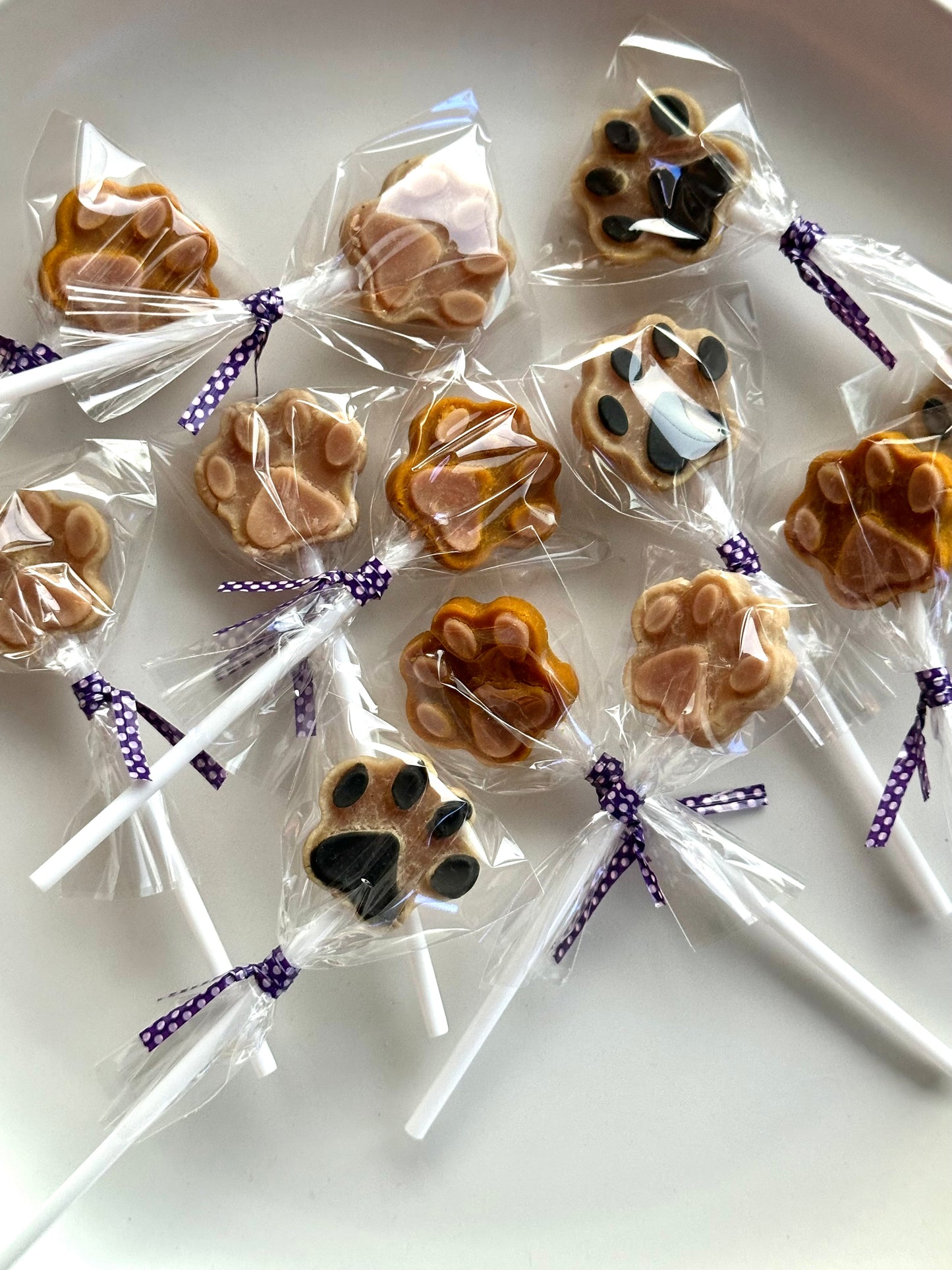 Paw biscuit lollipops