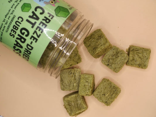 Freeze dried catgrass tubs