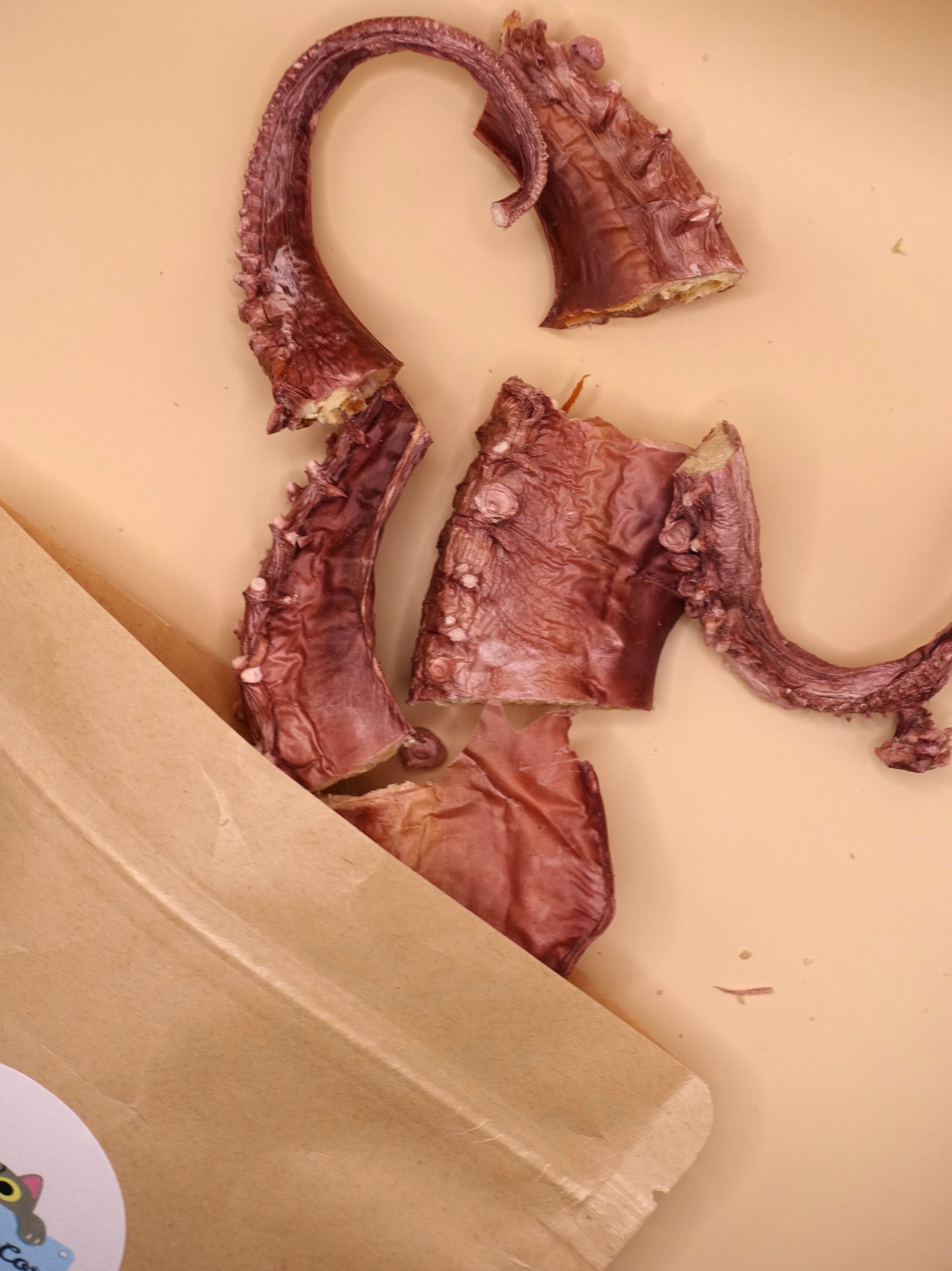 Freeze-Dried Octopus Bites