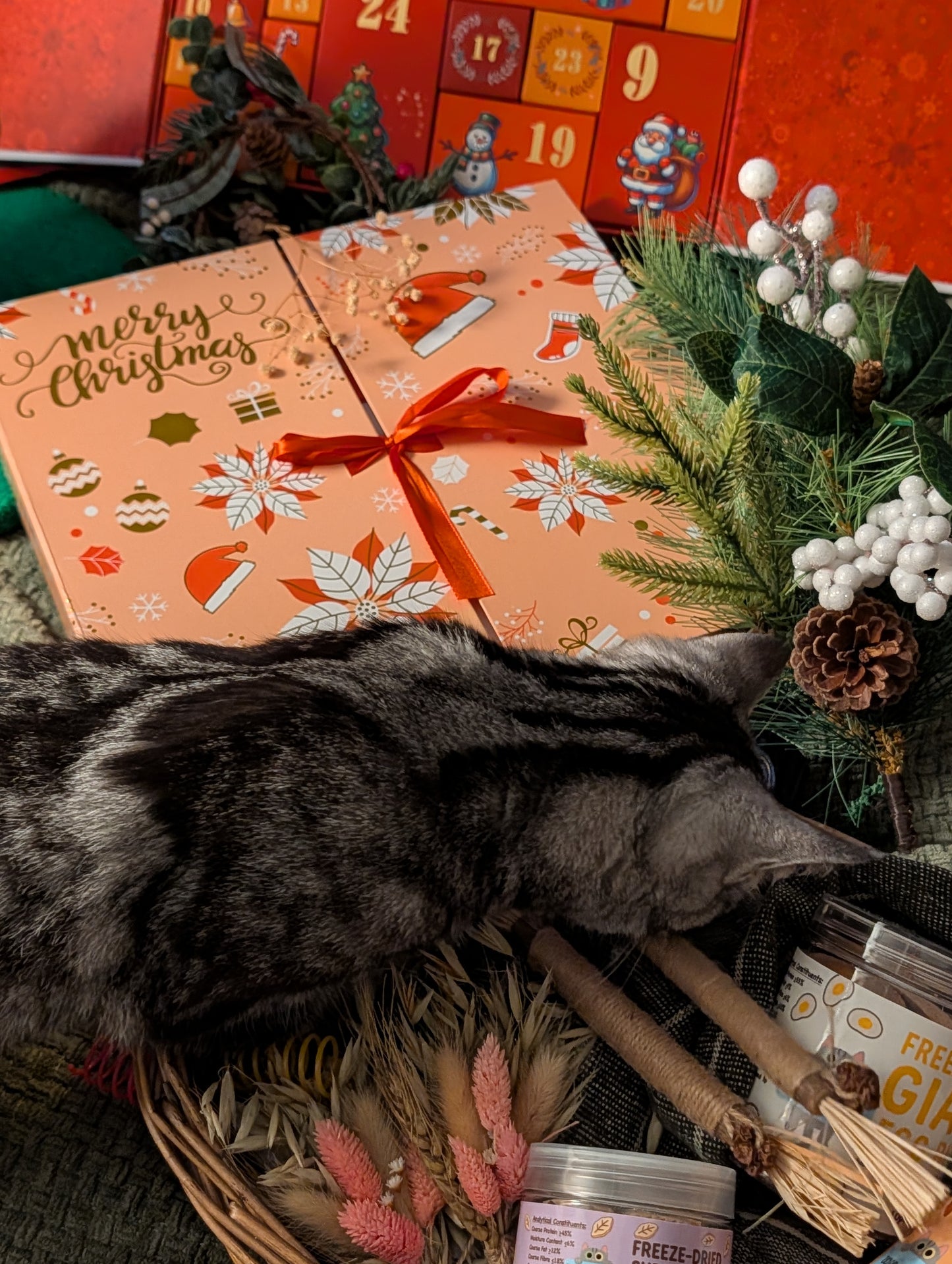 Luxury advent calendars for cats and dogs 2025