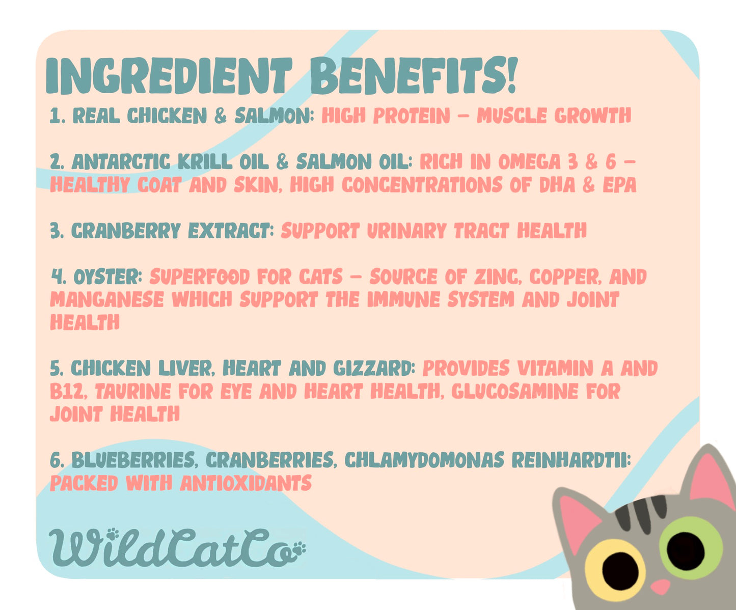 Cluck&Splash Freeze-Dried Raw Complete Cat Food