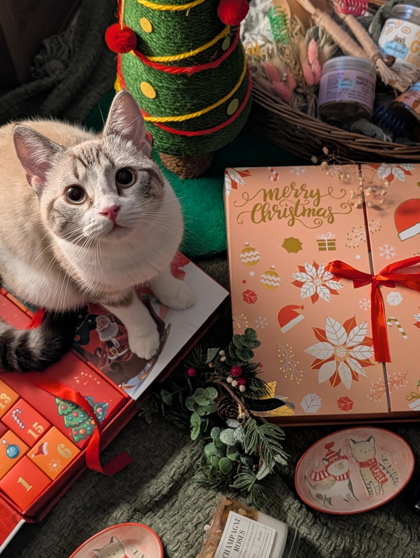Luxury advent calendars for cats and dogs 2025