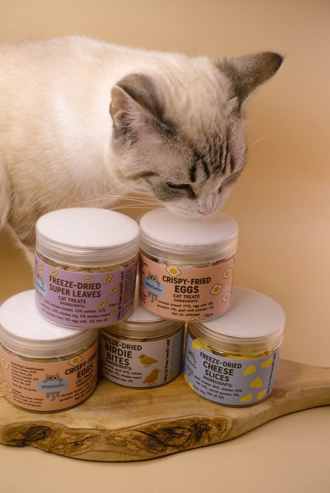 Purrfect mini bundle