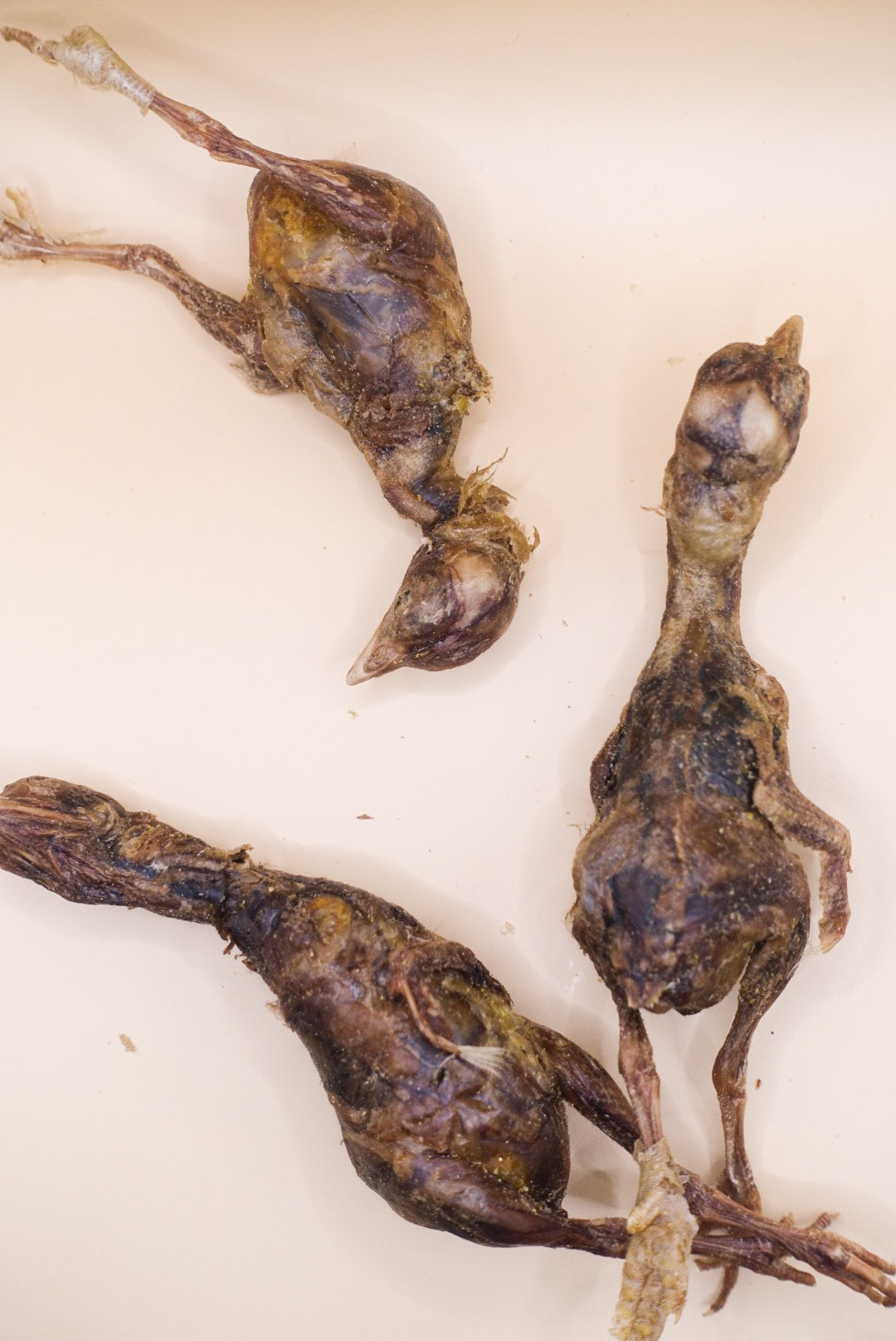 Freeze dried Whole Chick