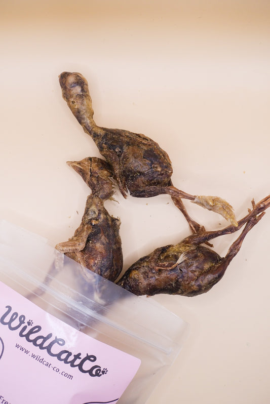 Freeze dried Whole Chick