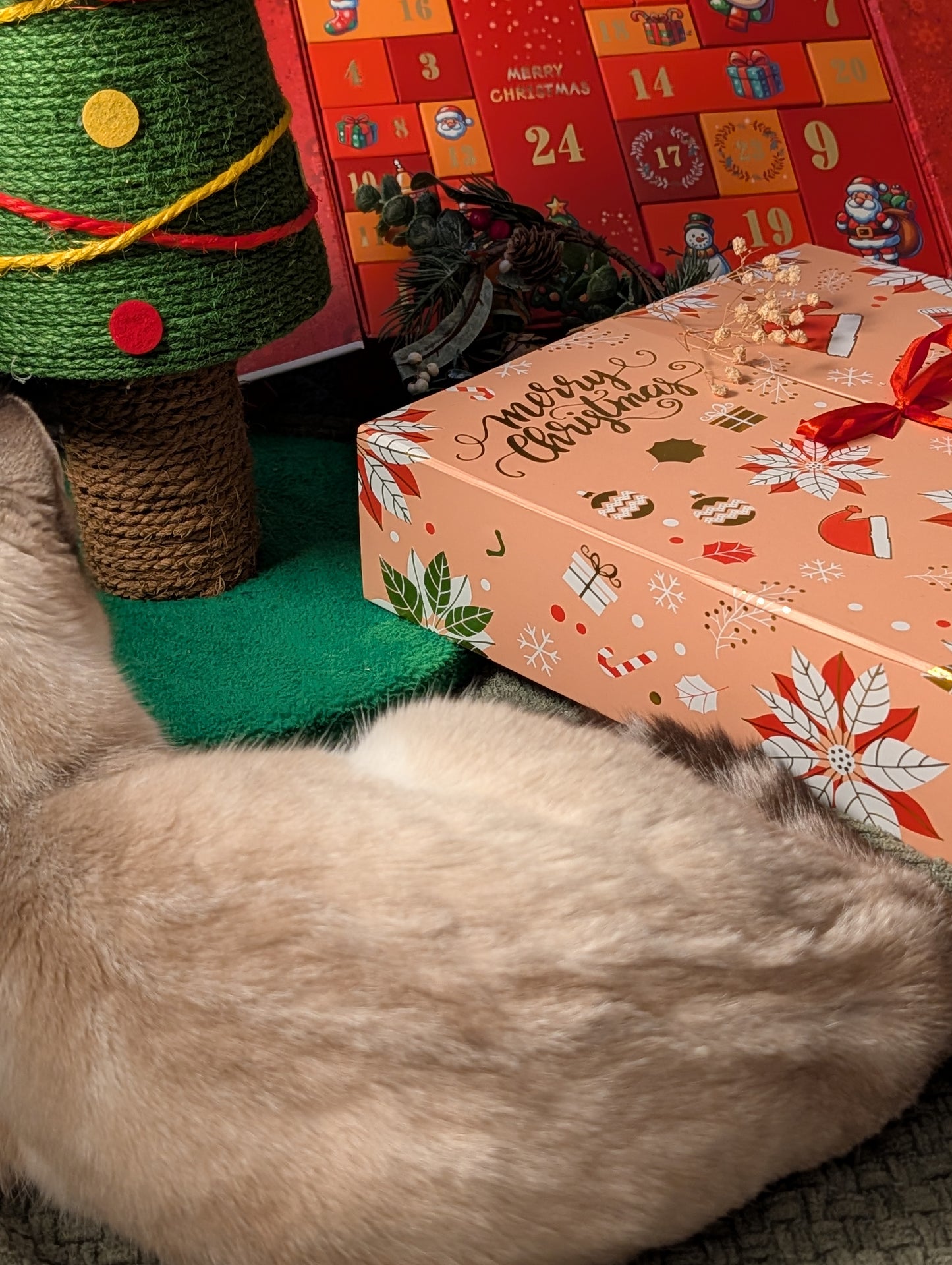 Luxury advent calendars for cats and dogs 2025