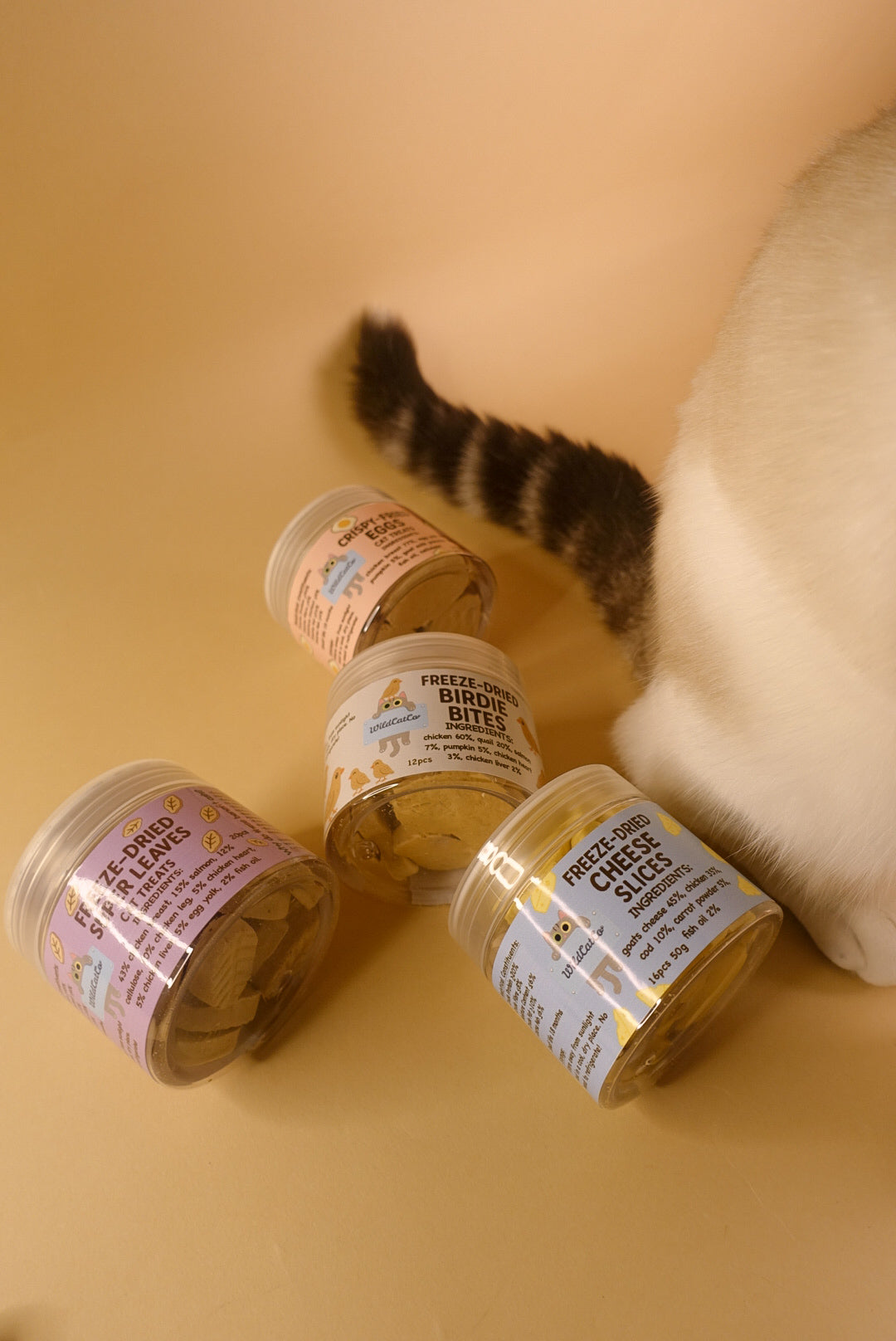 Purrfect mini bundle