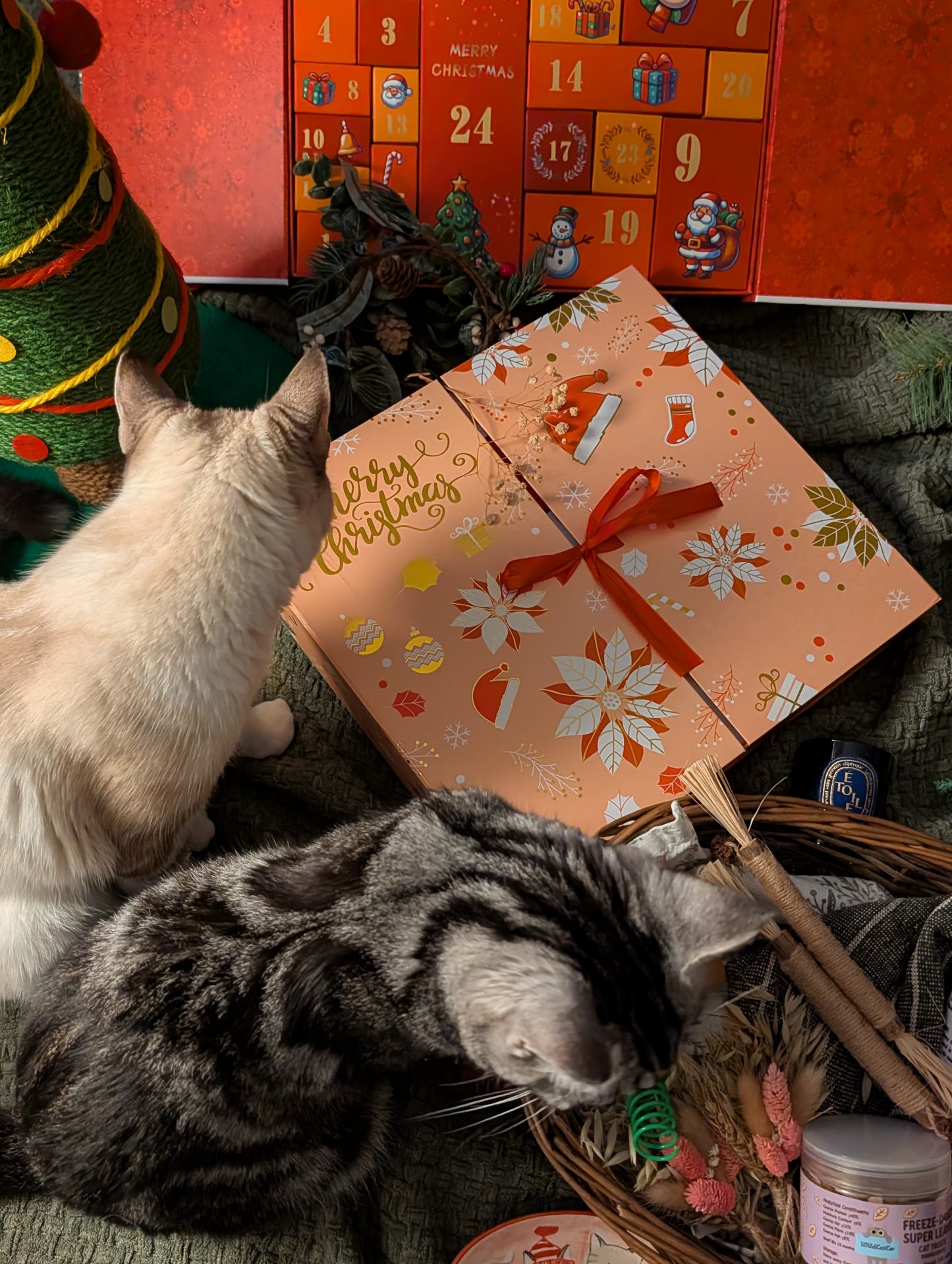 Luxury advent calendars for cats and dogs 2025