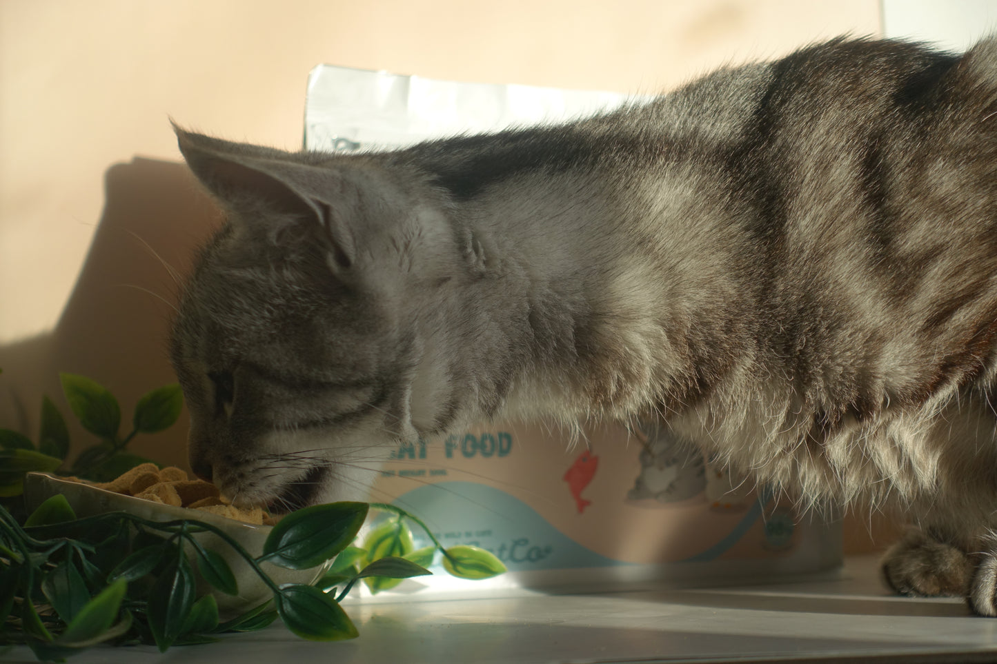 Cluck&Splash Freeze-Dried Raw Complete Cat Food