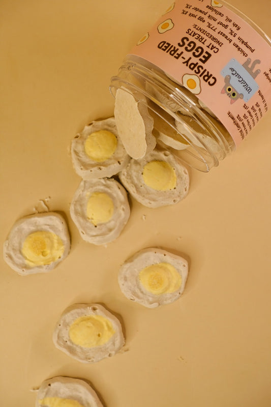 Freeze dried crispy fried eggs