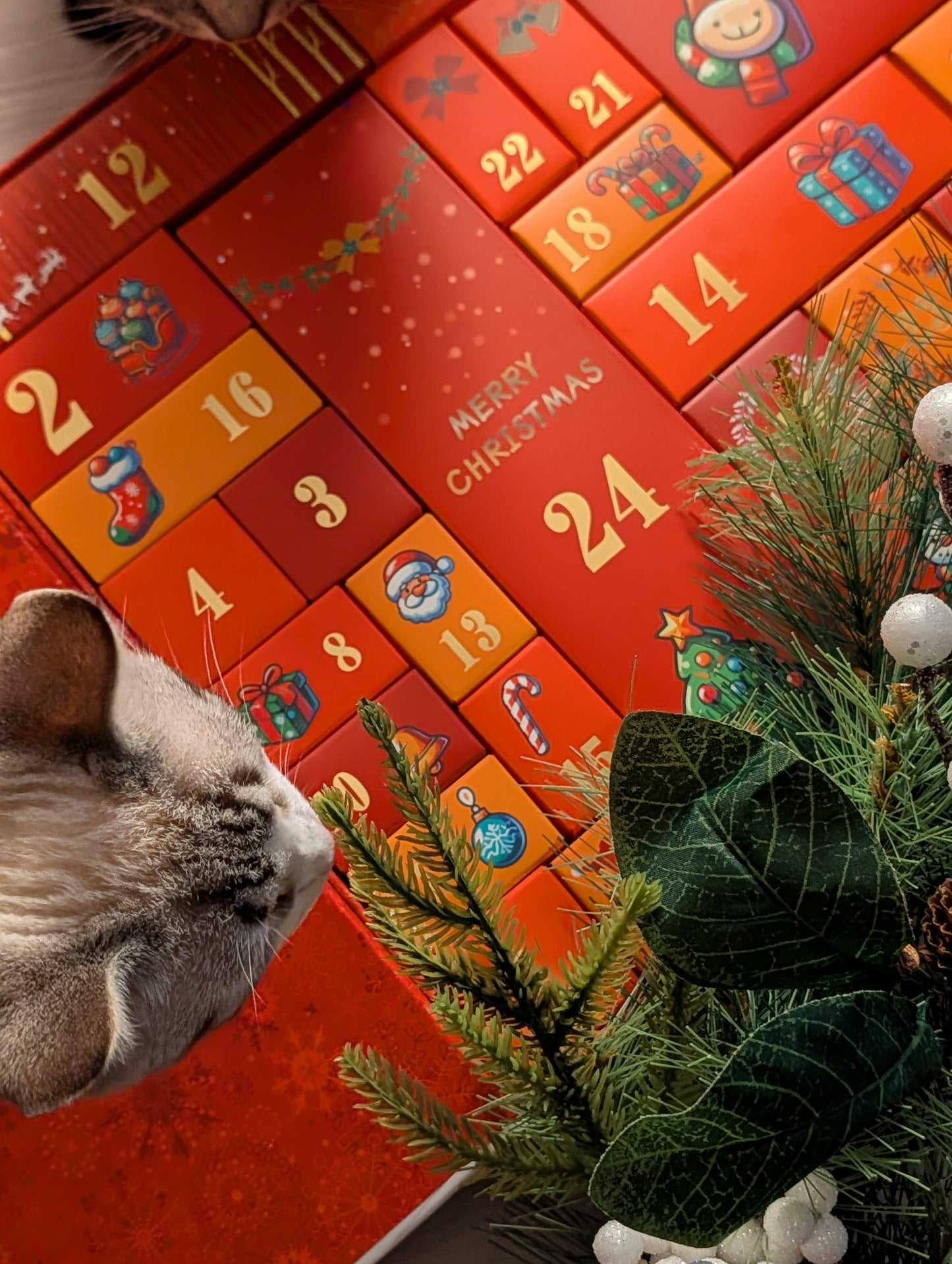 Luxury advent calendars for cats and dogs 2025