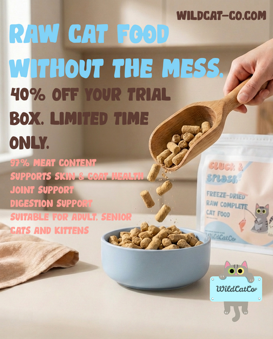 Complete Cat Food Trial Box