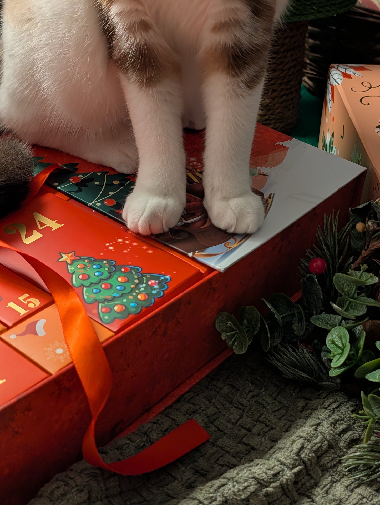 Luxury advent calendars for cats and dogs 2025