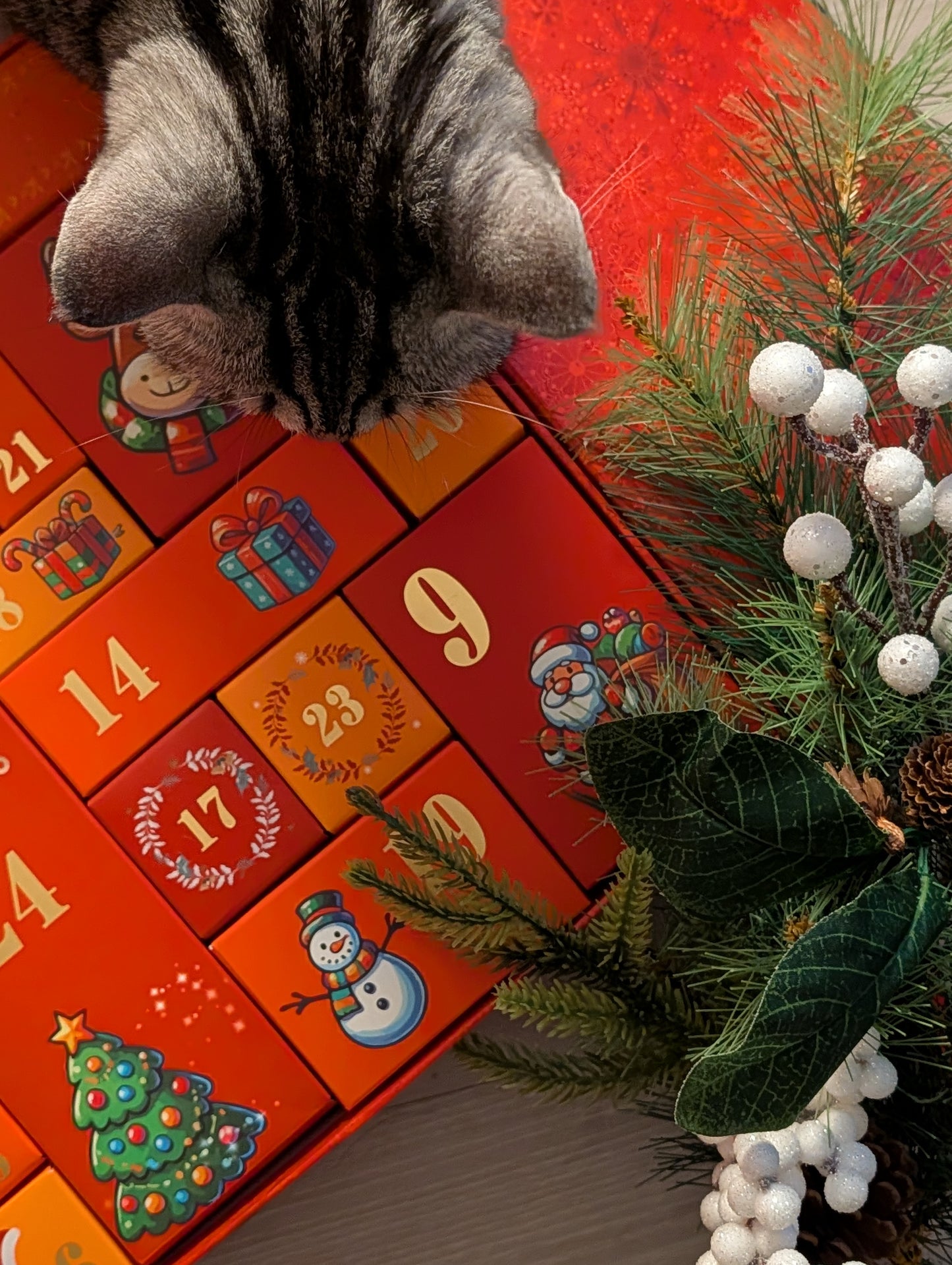 Luxury advent calendars for cats and dogs 2025