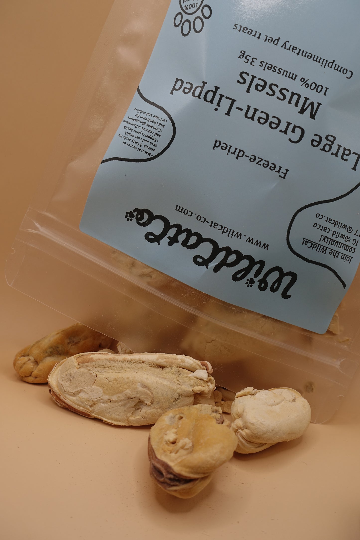 Large Green-Lipped Mussels