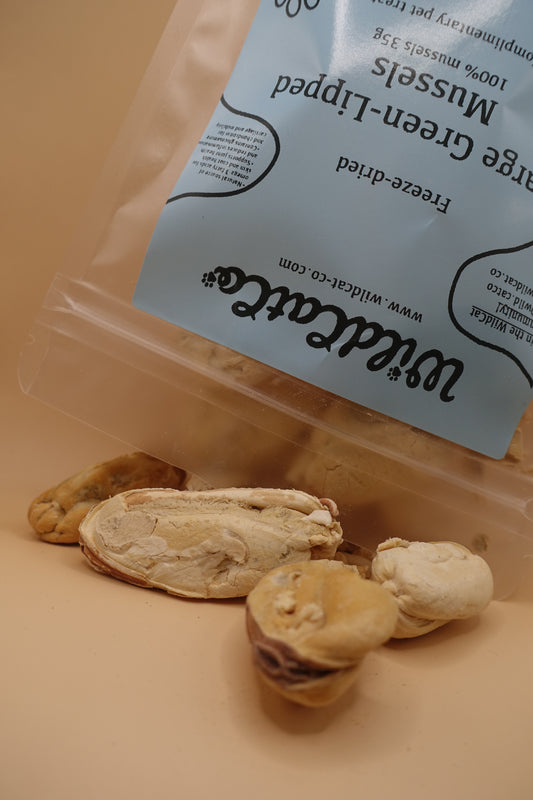 Large Green-Lipped Mussels