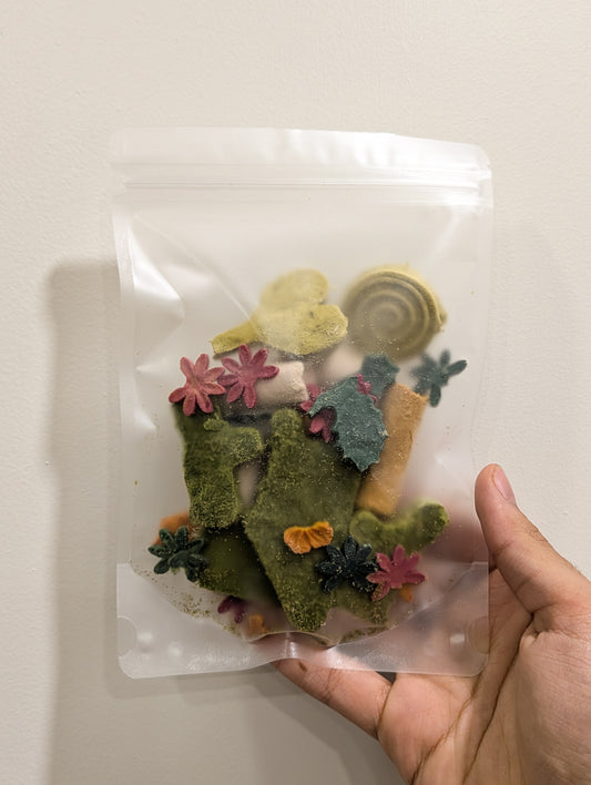 Mystery Broken Treats Bag