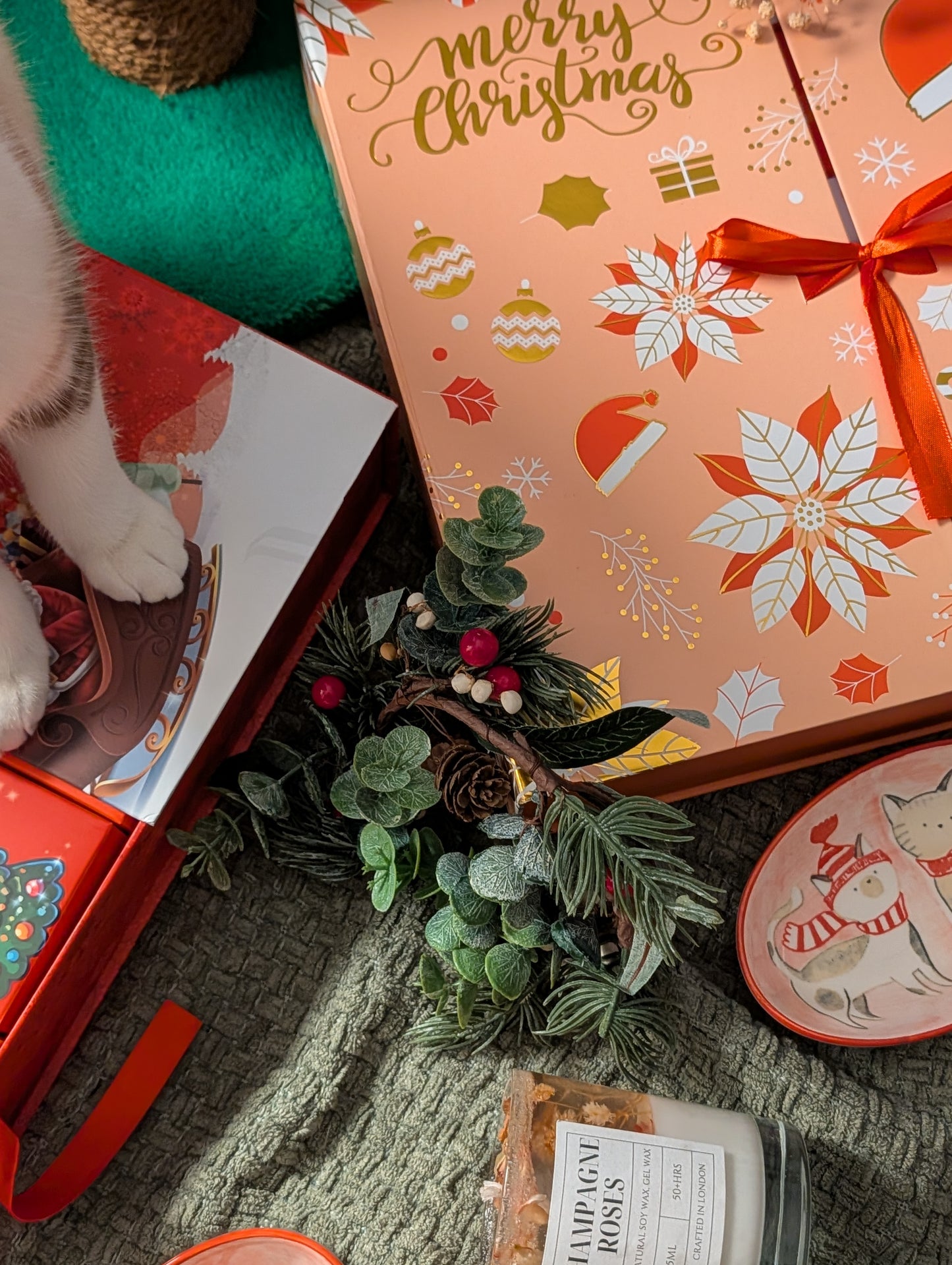 Luxury advent calendars for cats and dogs 2025